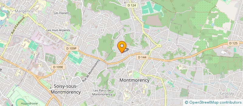 localisation de l'entreprise MONSIEUR RAPHAEL MARY  MONTMORENCY