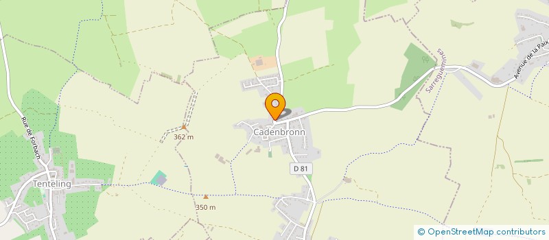 localisation de l'entreprise MONSIEUR RAPHAEL MEYER  NOUSSEVILLER-SAINT-NABOR