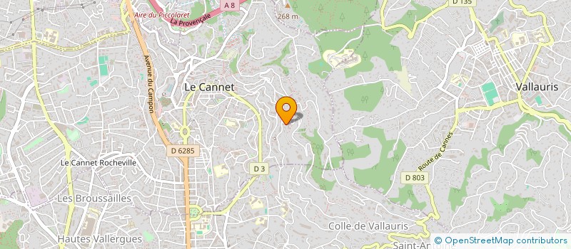 localisation de l'entreprise MONSIEUR RAPHAEL MORANT à LE CANNET