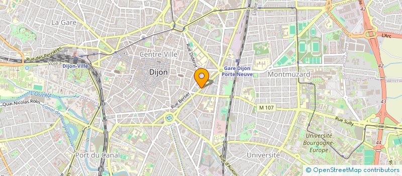 localisation de l'entreprise MONSIEUR RAPHAEL MORISOT à DIJON