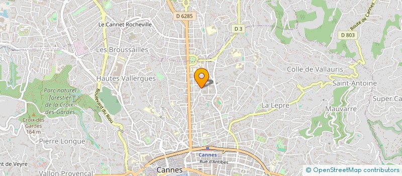 localisation de l'entreprise MONSIEUR RAPHAEL OTTO  CANNES