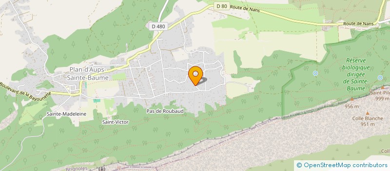 localisation de l'entreprise MONSIEUR RAPHAEL RAME  PLAN-D'AUPS-SAINTE-BAUME