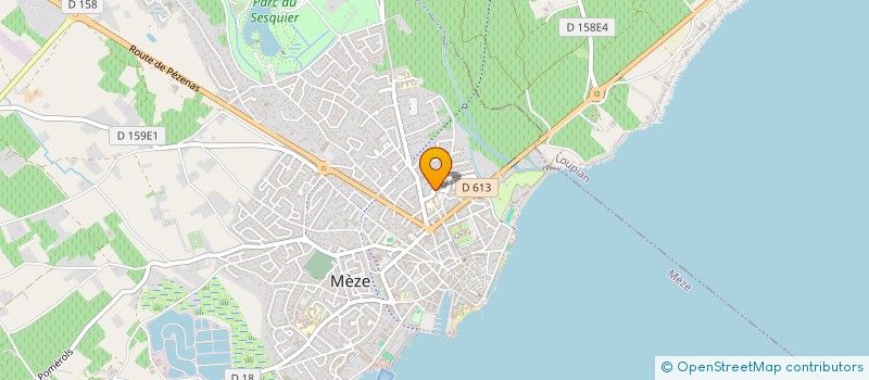 localisation de l'entreprise MONSIEUR RAPHAEL SALLES à MEZE