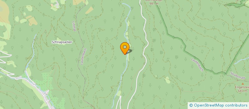 localisation de l'entreprise MONSIEUR RAPHAEL SCHUELLER  LAUTENBACH