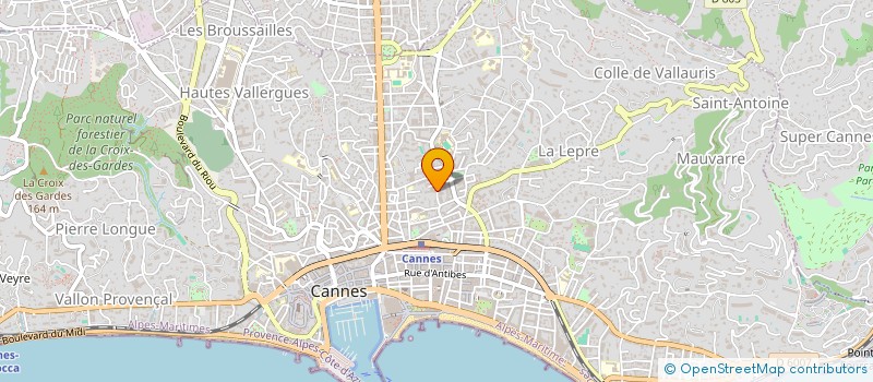 localisation de l'entreprise MONSIEUR RAPHAEL TRONCY à CANNES