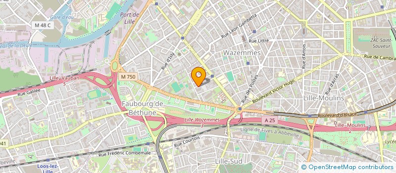 localisation de l'entreprise MONSIEUR RASSIM SAVANE à LILLE