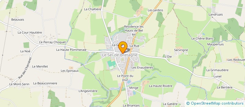 localisation de l'entreprise MONSIEUR RAVI RIDER  LE SEL-DE-BRETAGNE