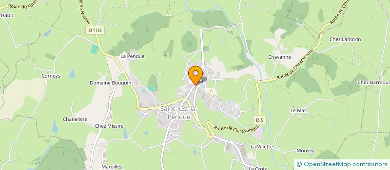 localisation de l'entreprise MONSIEUR RAY CHAPILLON  SAINT-JUST-LA-PENDUE