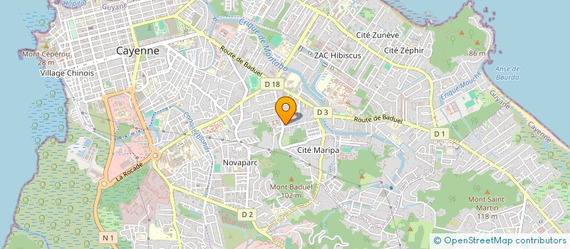 localisation de l'entreprise MONSIEUR RAY SILVA DA COSTA  CAYENNE