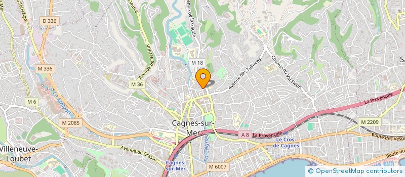localisation de l'entreprise MONSIEUR RAYAN ACHOURI à CAGNES-SUR-MER
