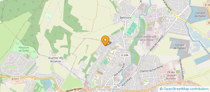 localisation de l'entreprise MONSIEUR RAYAN BOUDJELIDA  PONT-DE-CHERUY