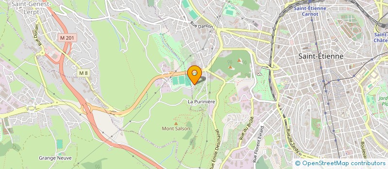 localisation de l'entreprise MONSIEUR RAYAN BRULE  SAINT-ETIENNE