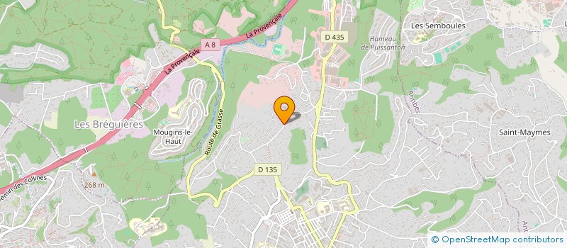 localisation de l'entreprise MONSIEUR RAYAN M'ZATI  VALLAURIS