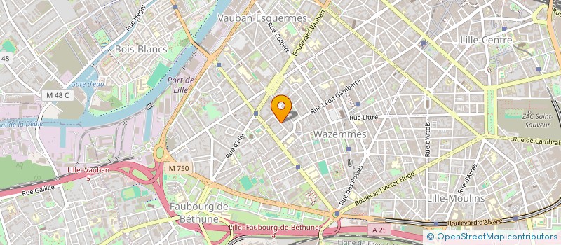 localisation de l'entreprise MONSIEUR RAYAN OUAFI à LILLE