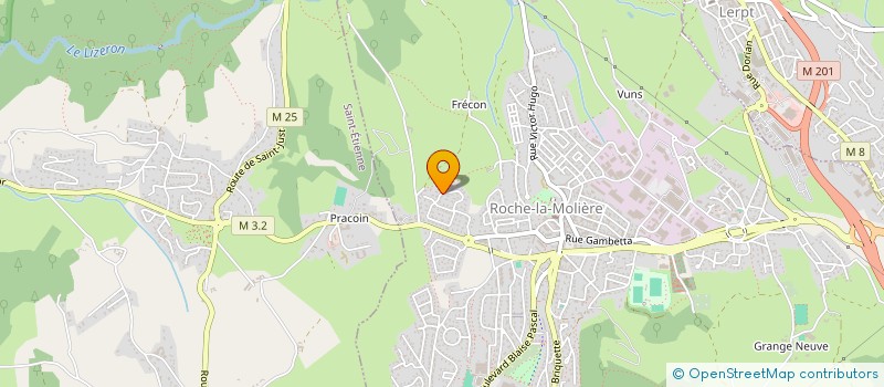 localisation de l'entreprise MONSIEUR RAYANE CHOULA  ROCHE-LA-MOLIERE