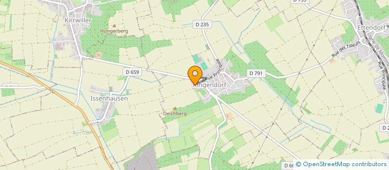 localisation de l'entreprise MONSIEUR RAYANE DOUVIER  RINGENDORF