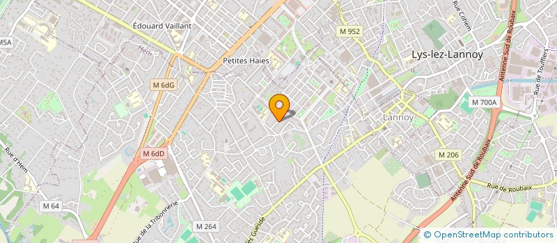 localisation de l'entreprise MONSIEUR RAYANE DRIES  HEM