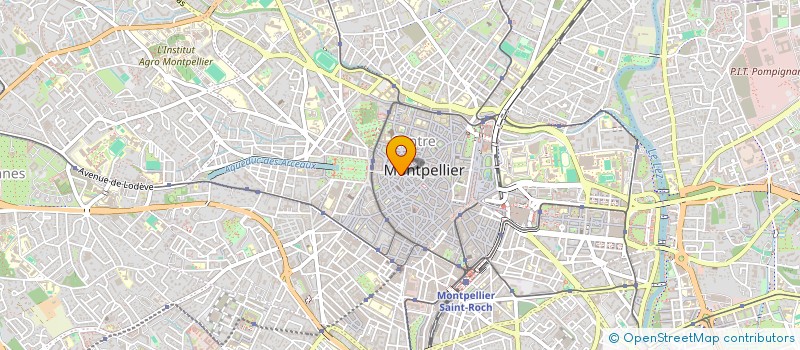 localisation de l'entreprise MONSIEUR RAYANE EL BOUCHAOUI  MONTPELLIER