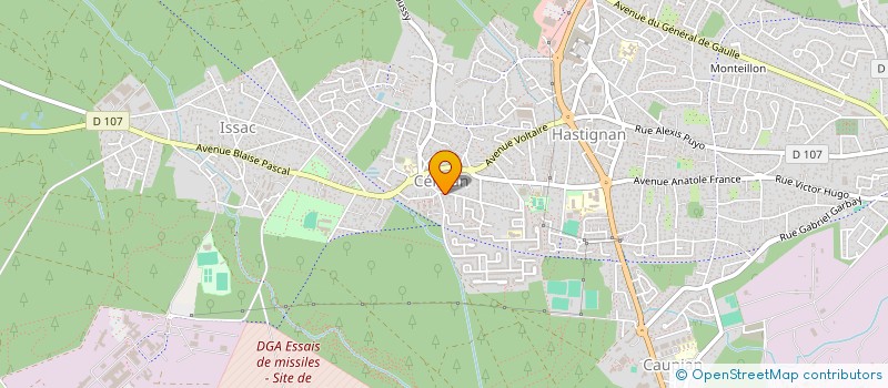 localisation de l'entreprise MONSIEUR RAYANE ZAGGAR  SAINT-MEDARD-EN-JALLES