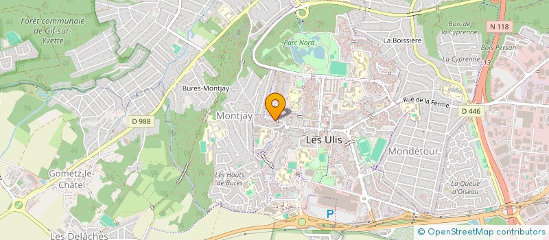 localisation de l'entreprise MONSIEUR RAYANN GABY TCHOKOGOUE MOUAKOUA à LES ULIS