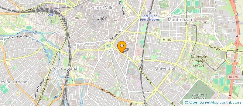 localisation de l'entreprise MONSIEUR RAYEN BOUDHRAA à DIJON