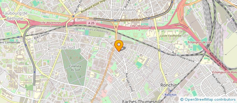 localisation de l'entreprise MONSIEUR RAYIN LE MAILIO à LILLE