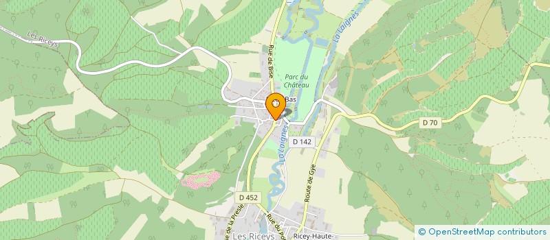 localisation de l'entreprise MONSIEUR RAYMOND BOUQUET  LES RICEYS