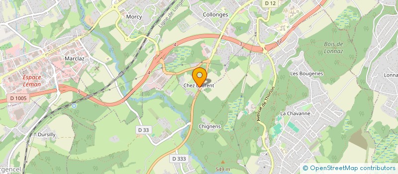 localisation de l'entreprise MONSIEUR RAYMOND COVIZZI à THONON-LES-BAINS