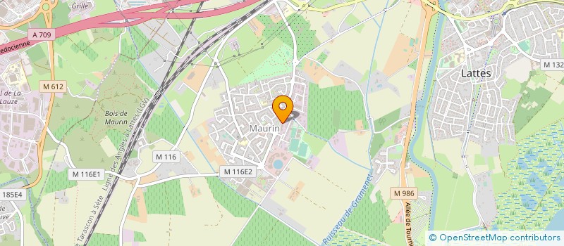 localisation de l'entreprise MONSIEUR RAYMOND CURE à LATTES