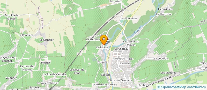 localisation de l'entreprise MONSIEUR RAYMOND DELALEU  VERNOU-SUR-BRENNE