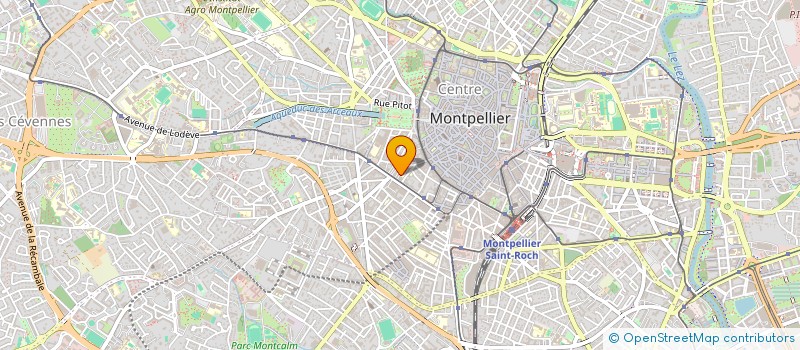 localisation de l'entreprise MONSIEUR RAYMOND DUBERNET à MONTPELLIER