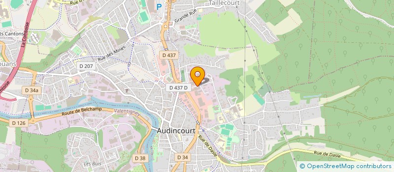 localisation de l'entreprise MONSIEUR RAYMOND JANISZEWSKI  AUDINCOURT