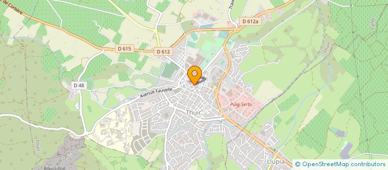 localisation de l'entreprise MONSIEUR RAYMOND KIAVUE  THUIR