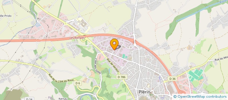 localisation de l'entreprise MONSIEUR RAYMOND LE BRIS  PLERIN