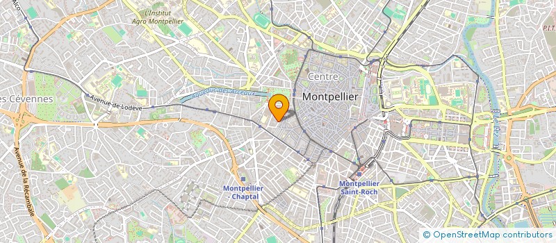localisation de l'entreprise MONSIEUR RAYMOND LEHANE à MONTPELLIER