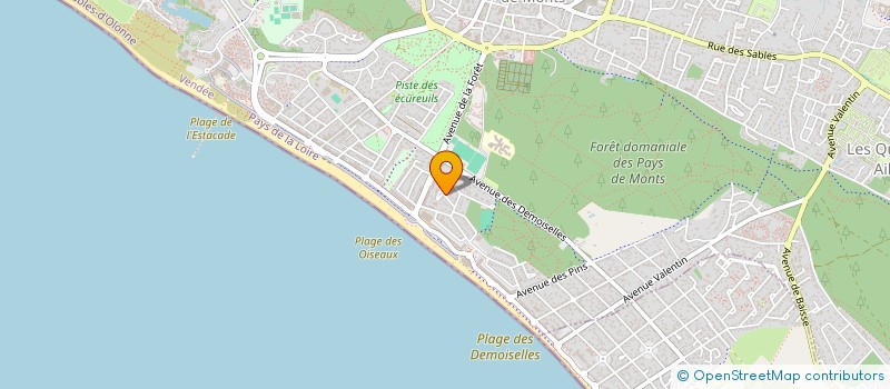 localisation de l'entreprise MONSIEUR RAYMOND MARTIN  SAINT-JEAN-DE-MONTS