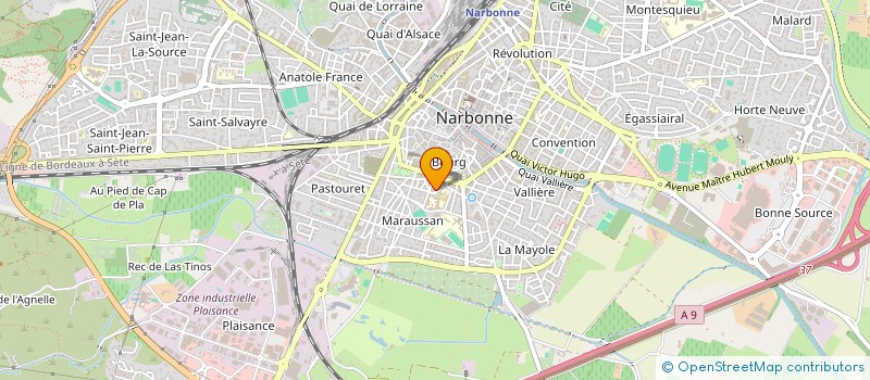 localisation de l'entreprise MONSIEUR RAYMOND REY  NARBONNE