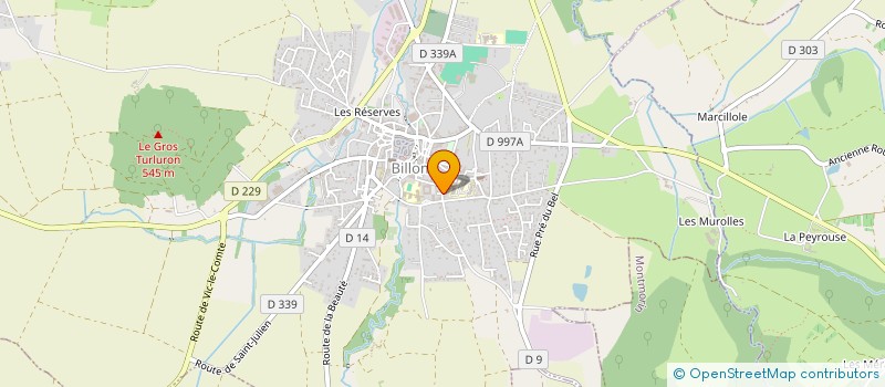 localisation de l'entreprise MONSIEUR RAYMOND RIDEL  BILLOM