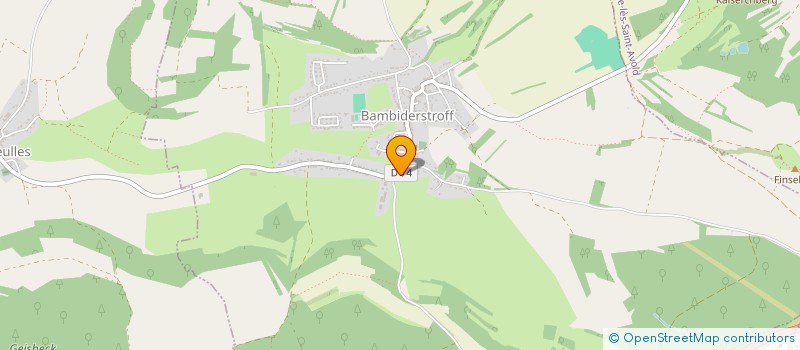 localisation de l'entreprise MONSIEUR RAYMOND SCHNEIDER à BAMBIDERSTROFF
