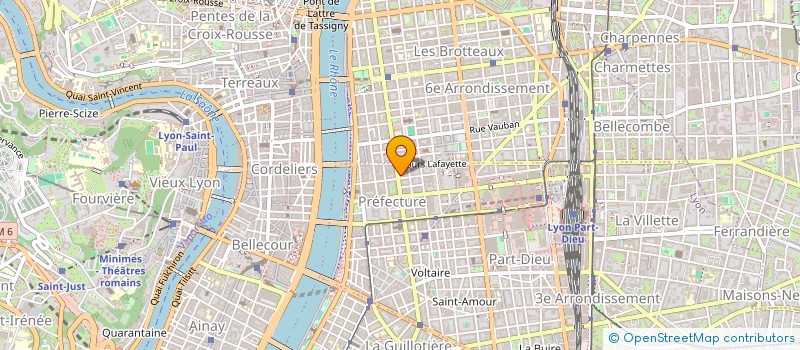 localisation de l'entreprise MONSIEUR RAYMOND TAVERNIER  LYON