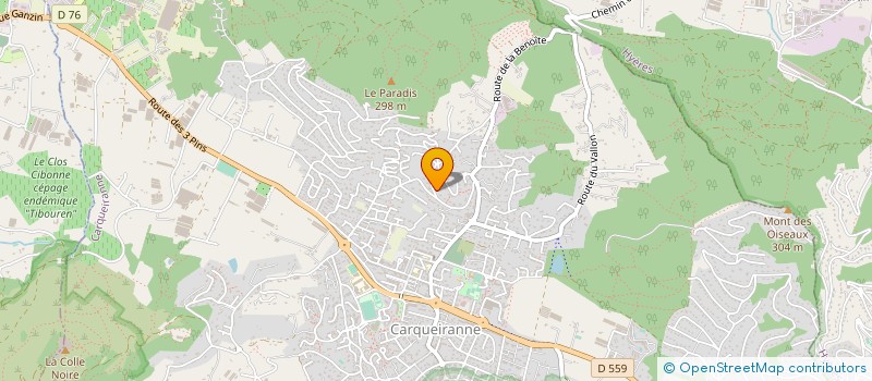 localisation de l'entreprise MONSIEUR RAYMOND TOSI  CARQUEIRANNE