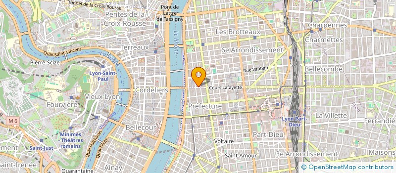 localisation de l'entreprise MONSIEUR RAYMOND VOIRON à LYON