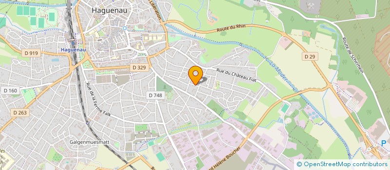 localisation de l'entreprise MONSIEUR RAYMOND WOLFF  HAGUENAU