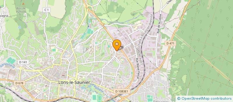 localisation de l'entreprise MONSIEUR RAYMOND YING  LONS-LE-SAUNIER