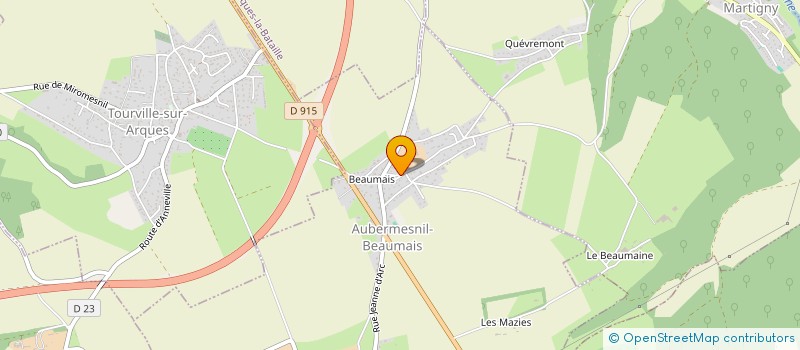 localisation de l'entreprise MONSIEUR RAYNALD THOUMIRE  AUBERMESNIL-BEAUMAIS