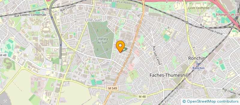 localisation de l'entreprise MONSIEUR RAYNALD VIRZI à LILLE