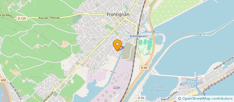 localisation de l'entreprise MONSIEUR RAZVAN CONSTANTIN à FRONTIGNAN