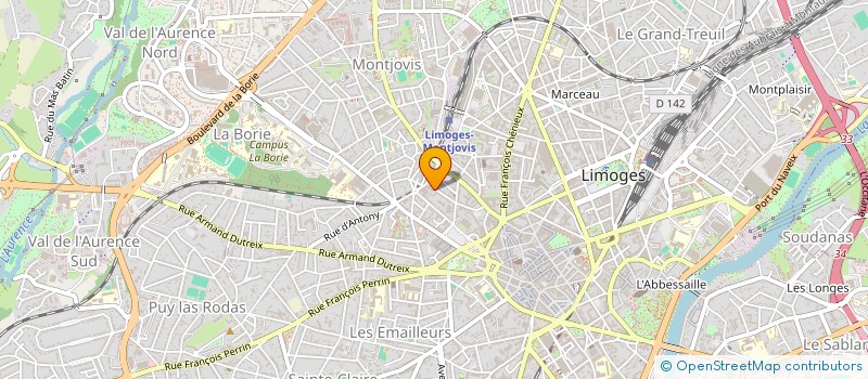 localisation de l'entreprise MONSIEUR RAZVAN DELCEA  LYON