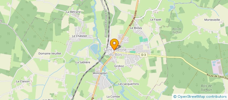 localisation de l'entreprise MONSIEUR RECEP ERHAN  SAINT-ETIENNE-DU-BOIS