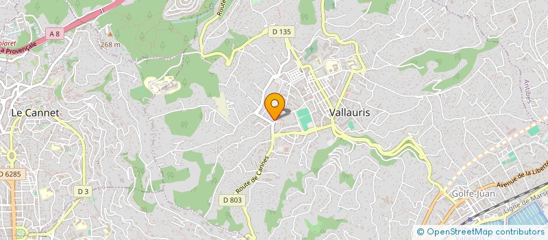 localisation de l'entreprise MONSIEUR REDHA REKKAH à VALLAURIS
